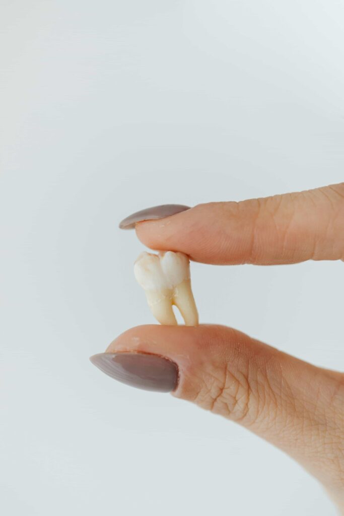 hand holding a tooth